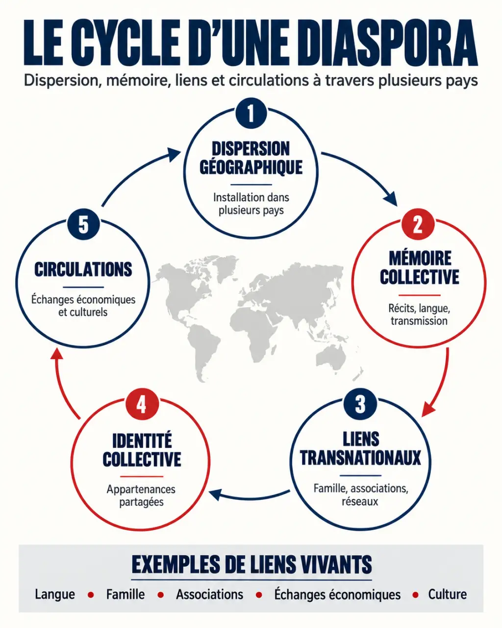 Infographie expliquant qu’est-ce que la diaspora et les liens transnationaux